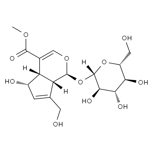 去乙酰车叶草苷酸甲酯 标准品